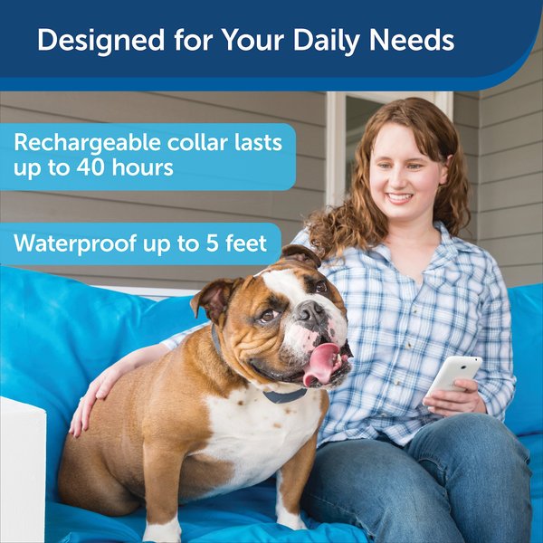 Official PetSafe Smart Dog Training Collar