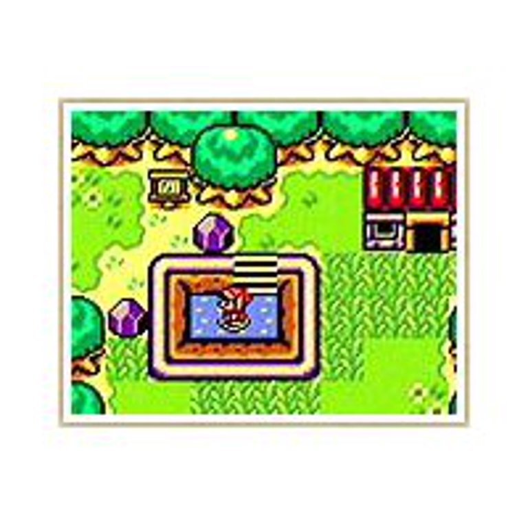 Official Nintendo Switch The Legend of Zelda Link's Awakening Case